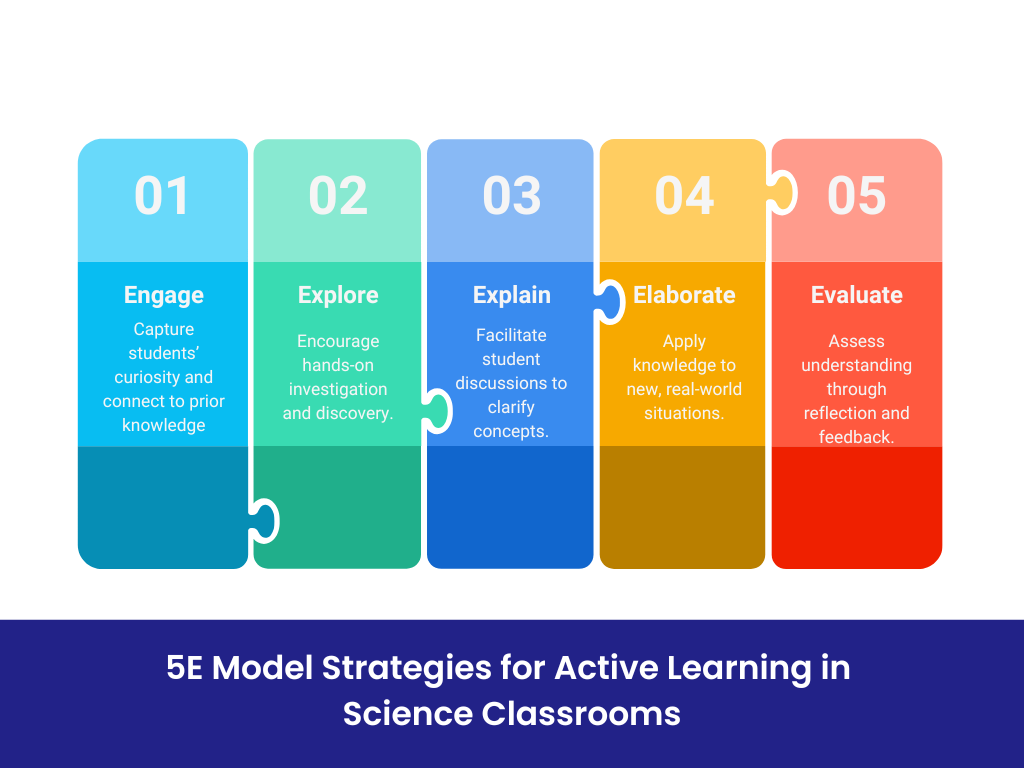 5E-MODEL